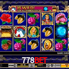 778bet Rio de Janeiro - Bonus Terms